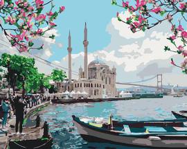 Картины по номерам без коробки Стамбул 40 х 50 см