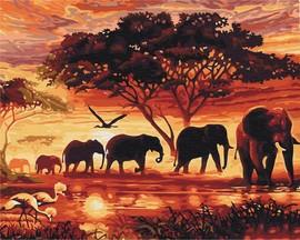 Картины по номерам без коробки Слоны в саванне