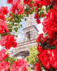 Картины по номерам без коробки Париж в цветах
